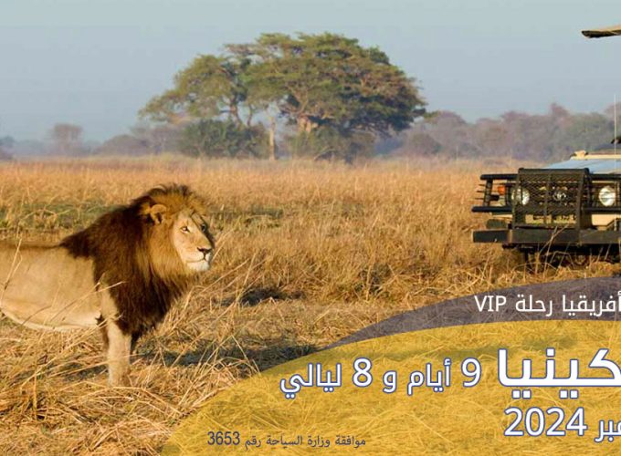 Marita Tours and Travel Agency in Syria