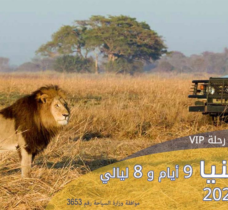 Marita Tours and Travel Agency in Syria