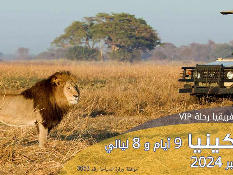 Marita Tours and Travel Agency in Syria