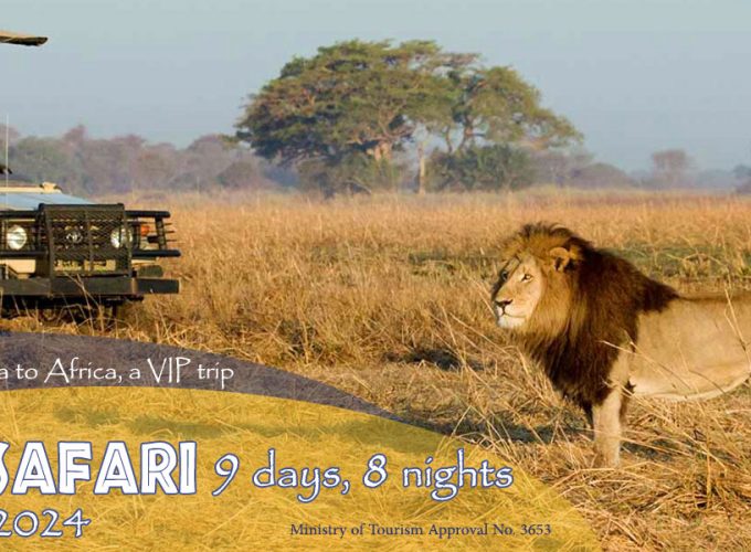 Marita Tours and Travel Agency in Syria